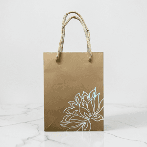 Imported Brown Gift Bag (4.7 x 6.2 Inch)
