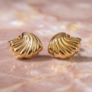 Stainless Steel Modern Curved Shell Design Earring